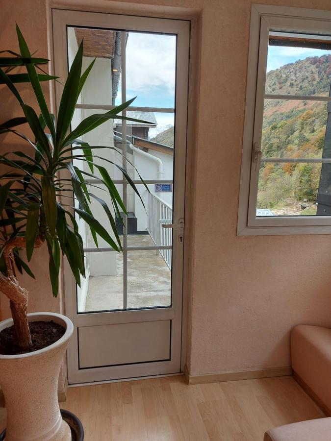 Hotel La Montagne Fleurie 巴里吉斯 外观 照片